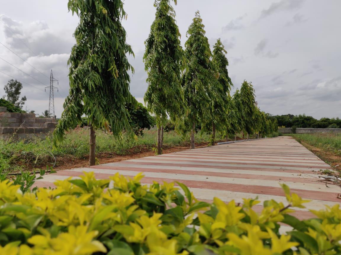 Tharakans Carmel Mantra, Malur, East Bangalore