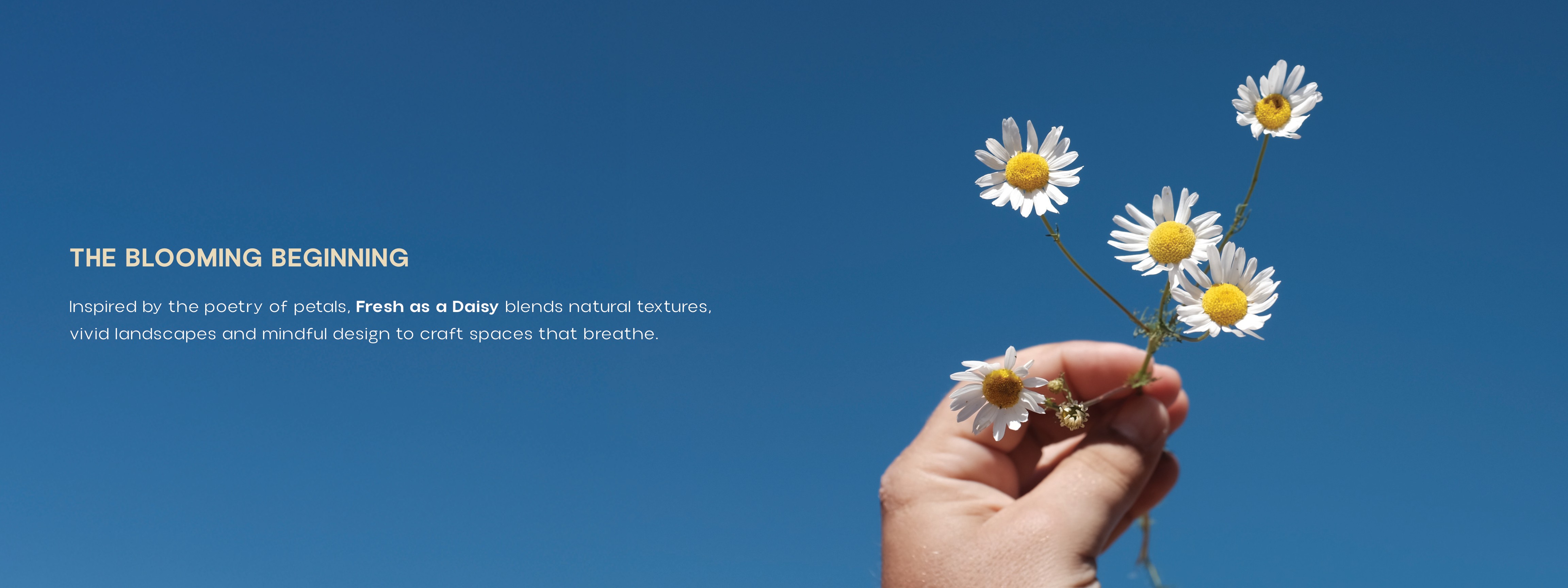 Fresh as a Daisy By HNG , Off Yelahanka New Town, North Bangalore.